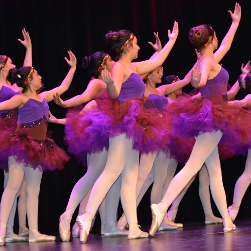 Vackra Rosen balettskola