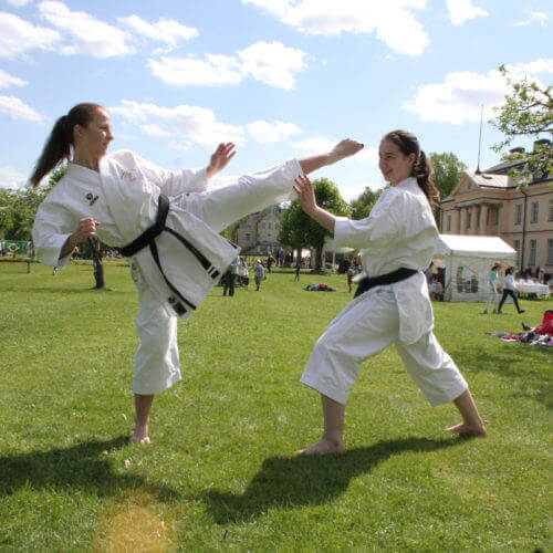 Botkyrka Shukokai Karate - en uppvisning